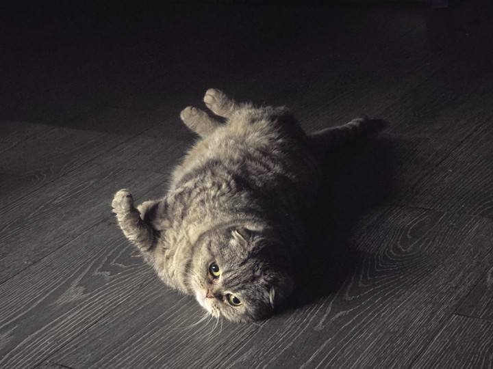 .