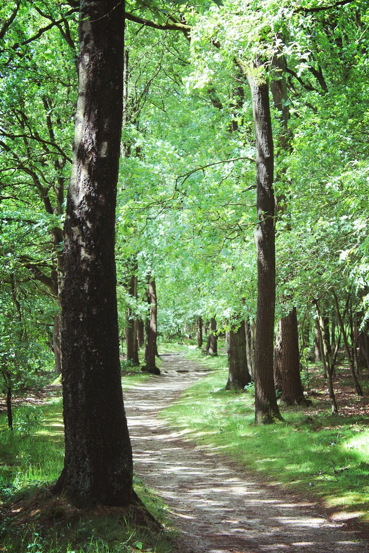 Kamp Amersfoort