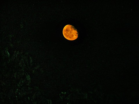 Moon