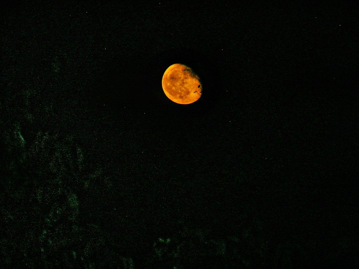Moon