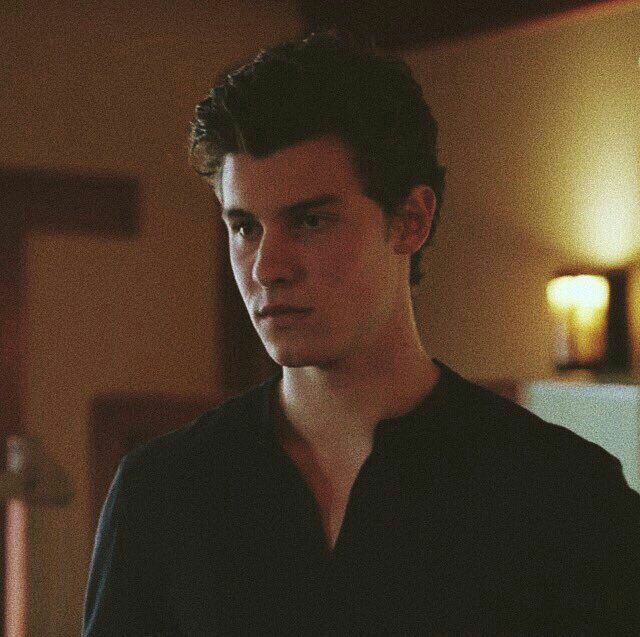 Shawn Mendes