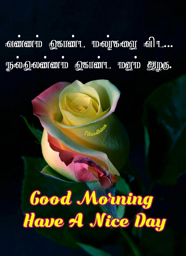 Good morning