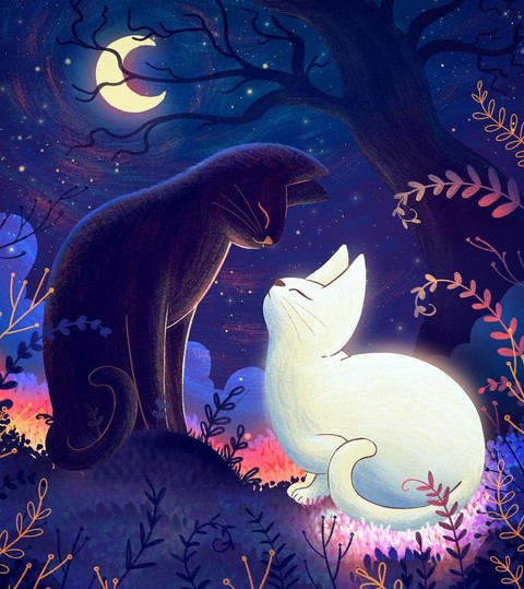 רקעים cat, felinae
