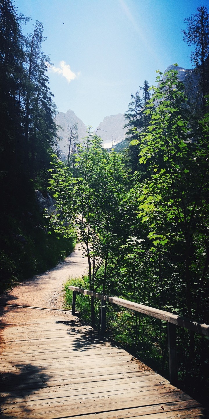 Hiking