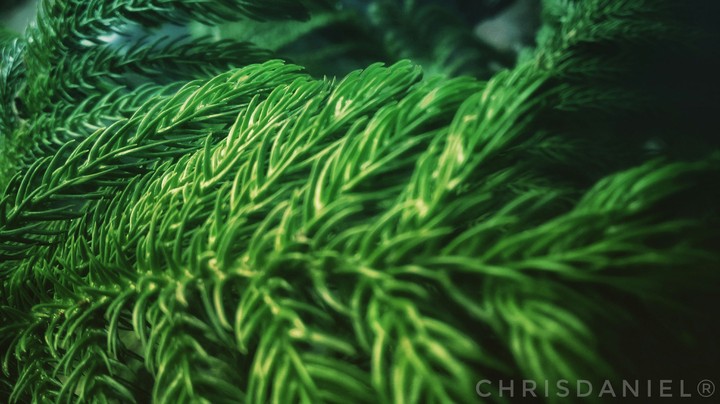 NatureShot 
