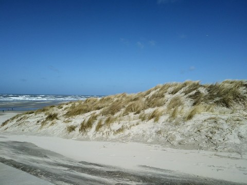 Terschelling