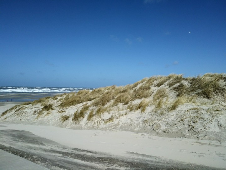 Terschelling