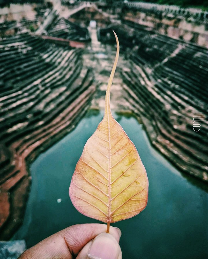 My rajasthan  ❤