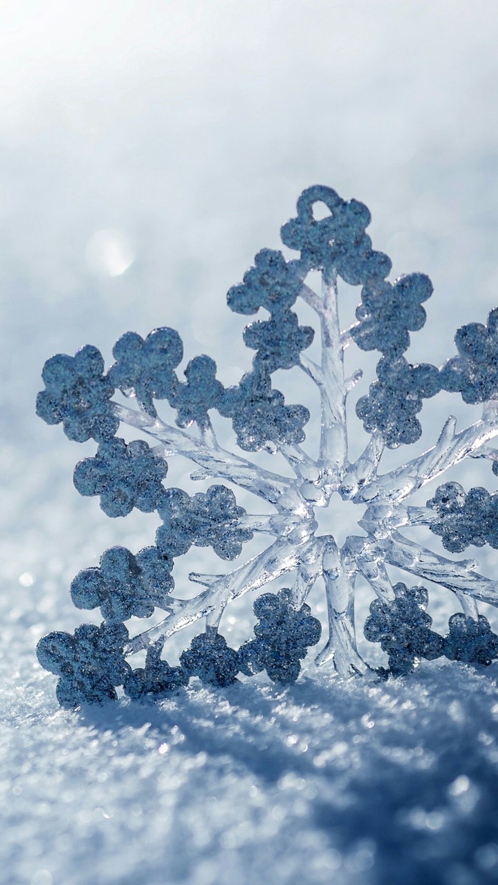 snowflake❄❄