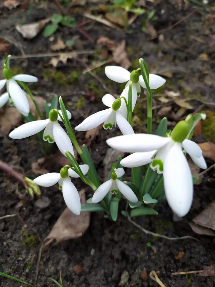 Spring...