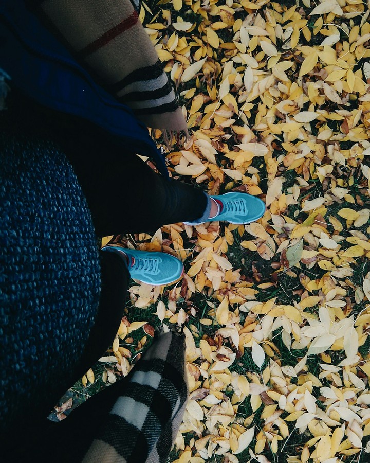autumn