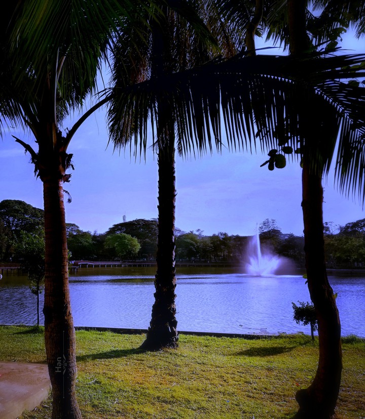 Lake