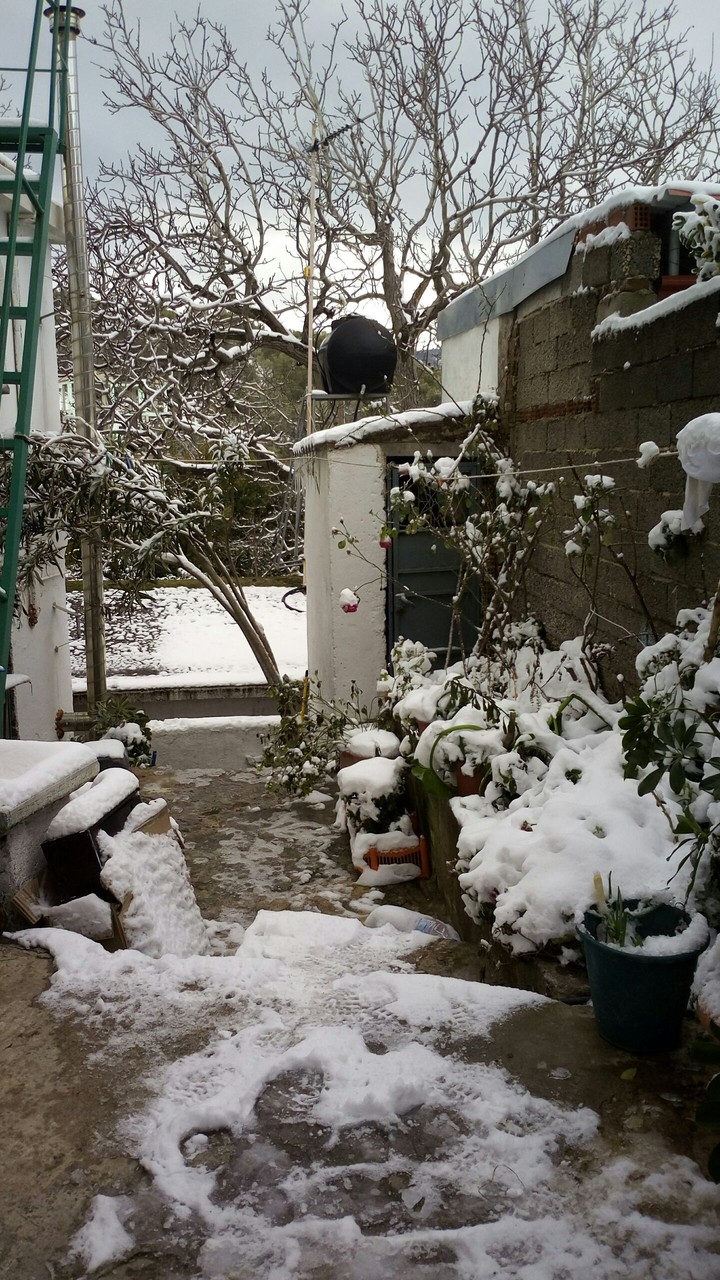 Let it snow!!