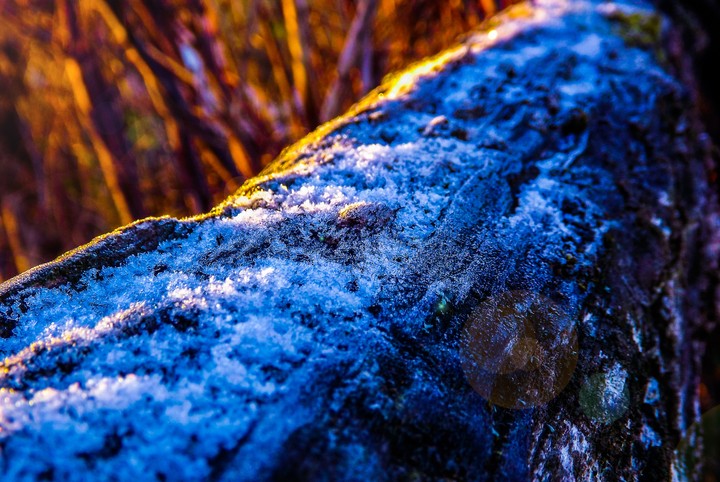 macro winter