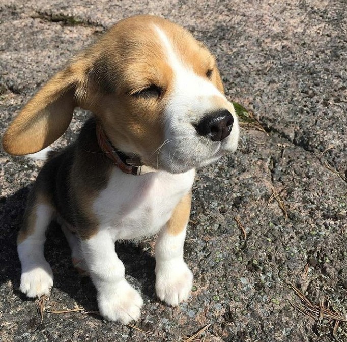 cute