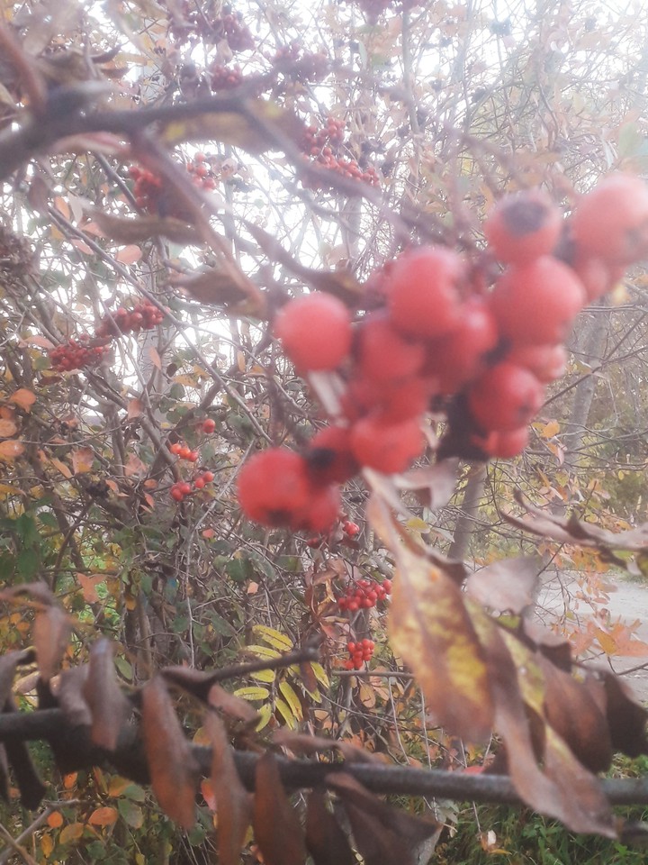 october