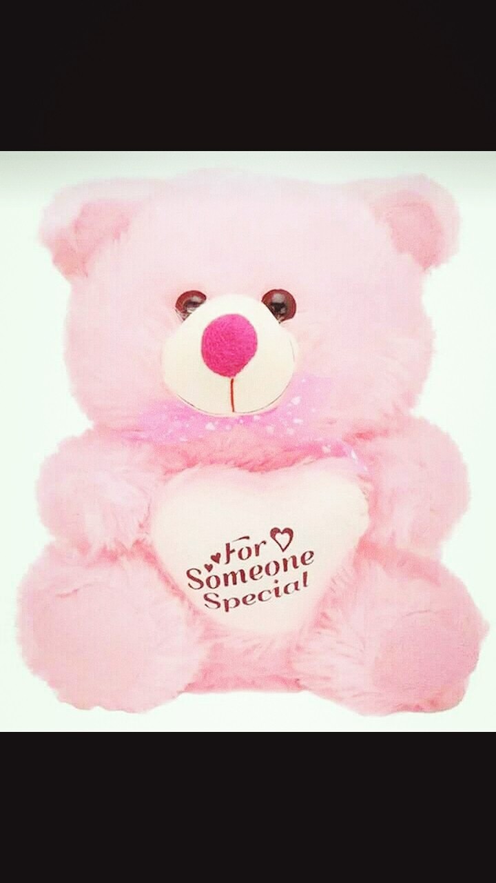 Teddy bear