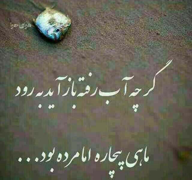 زنده