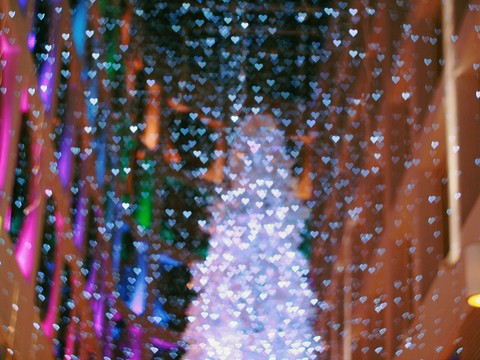pink, Decoration壁纸