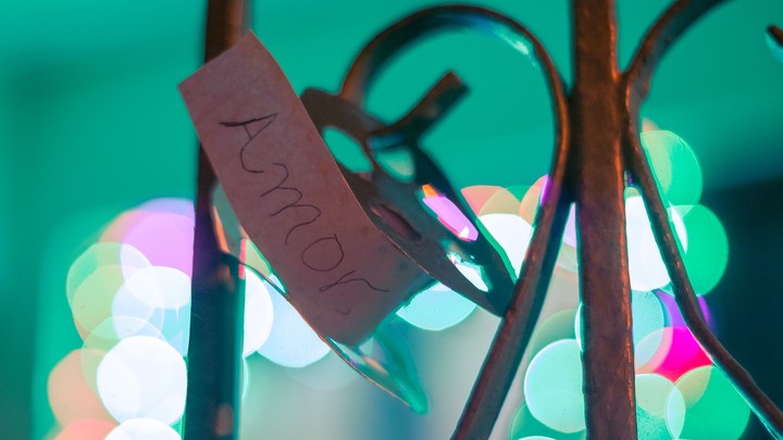 Bokeh Love