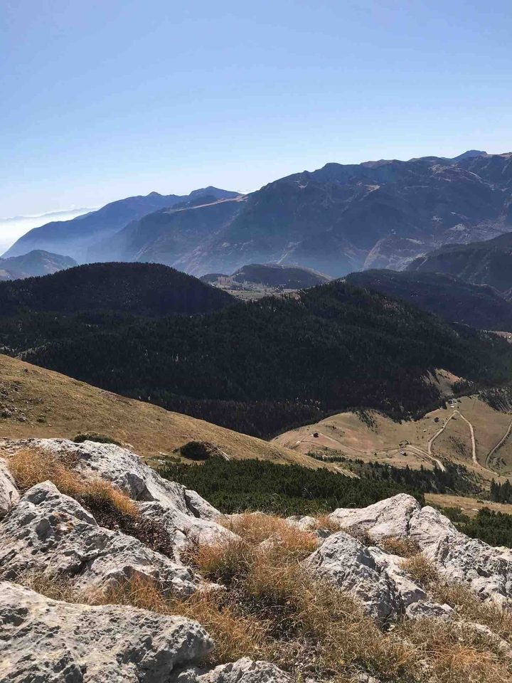 Rugove