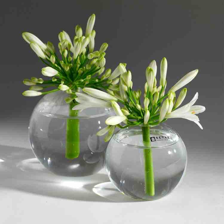 spring,flowers