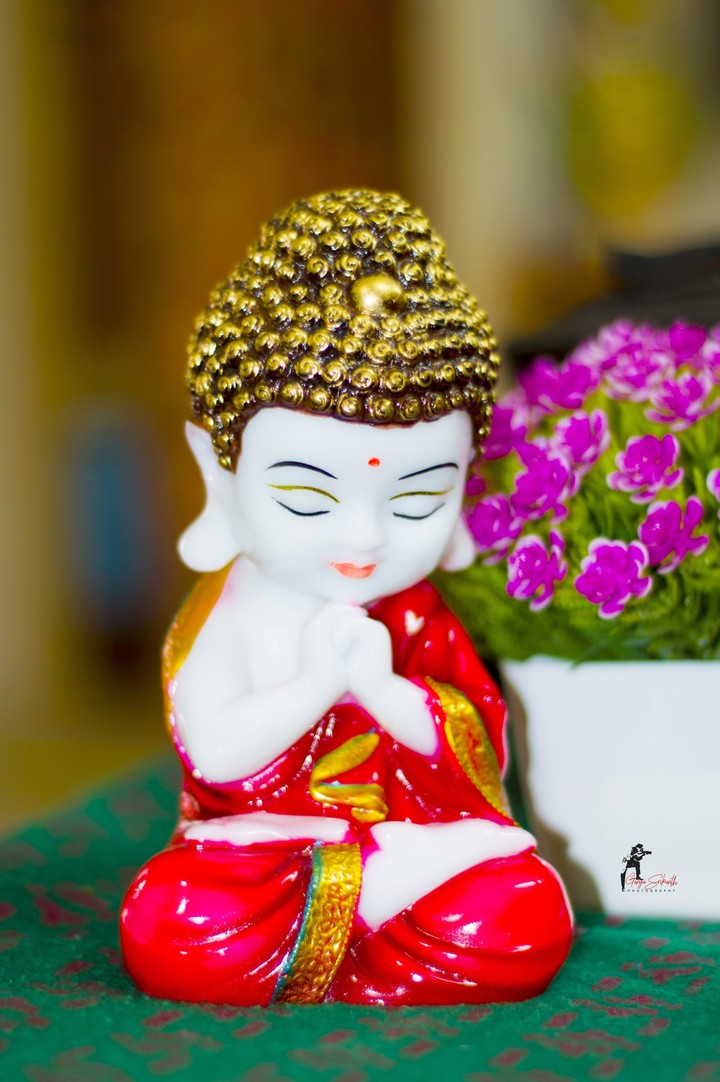 Baby Buddha