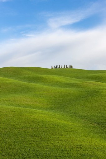 Green plain