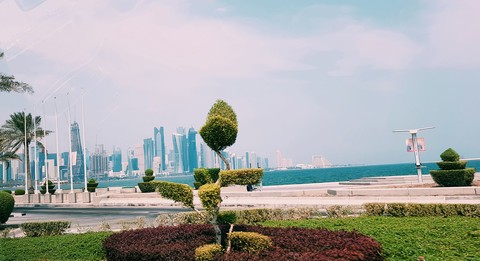 Qatar#shamir