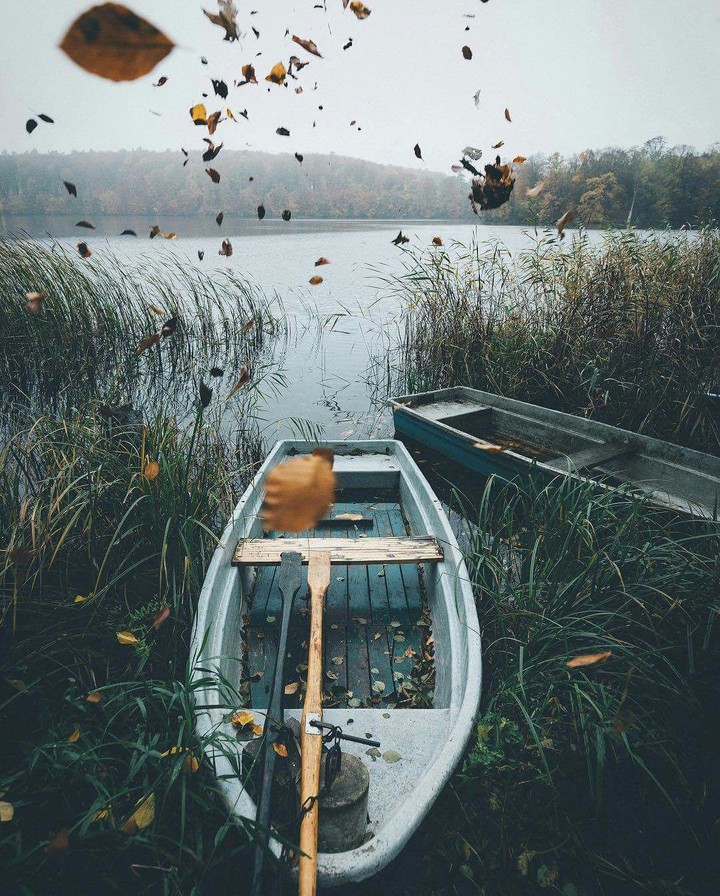 nature 