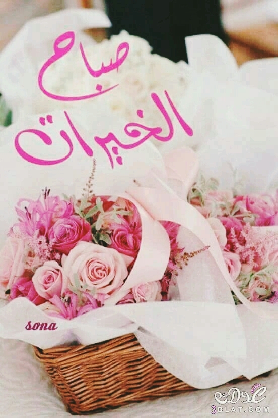Good morning