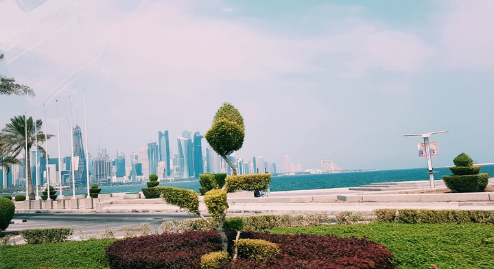 Qatar#shamir