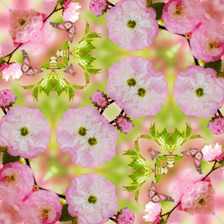 Flores