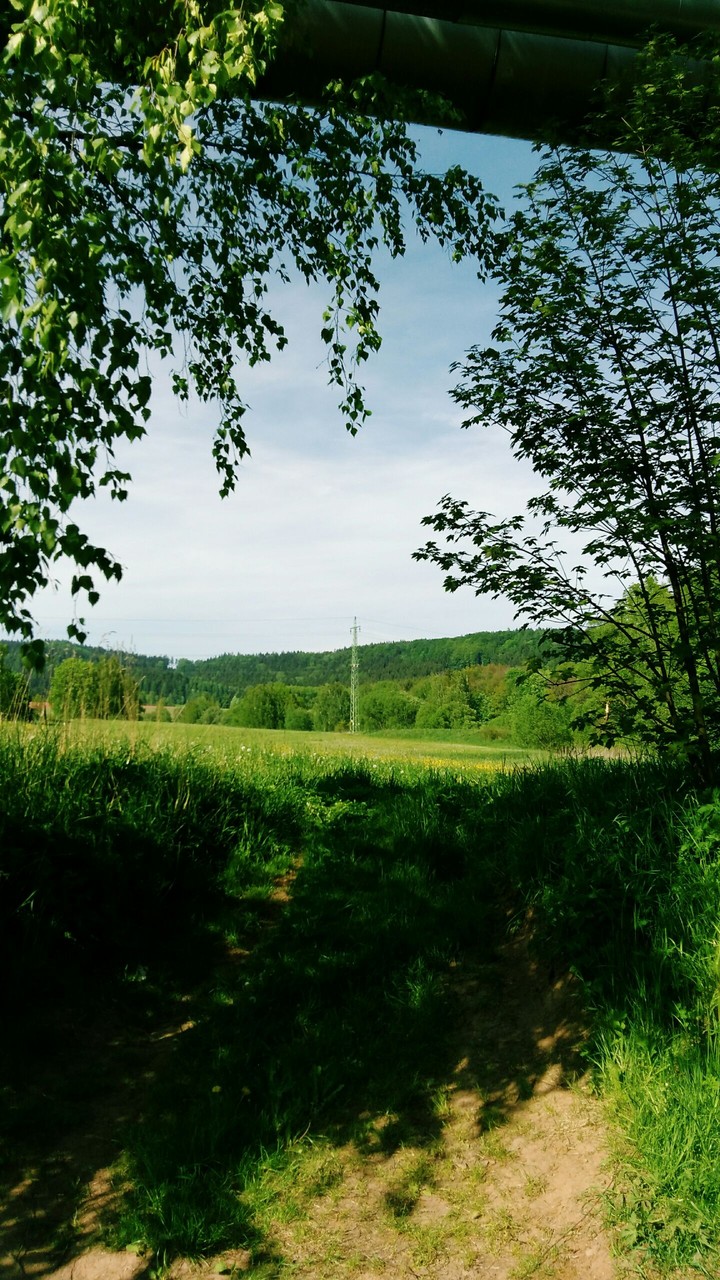 Nature
