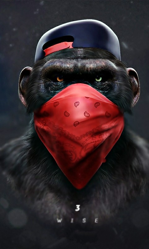crezy monky