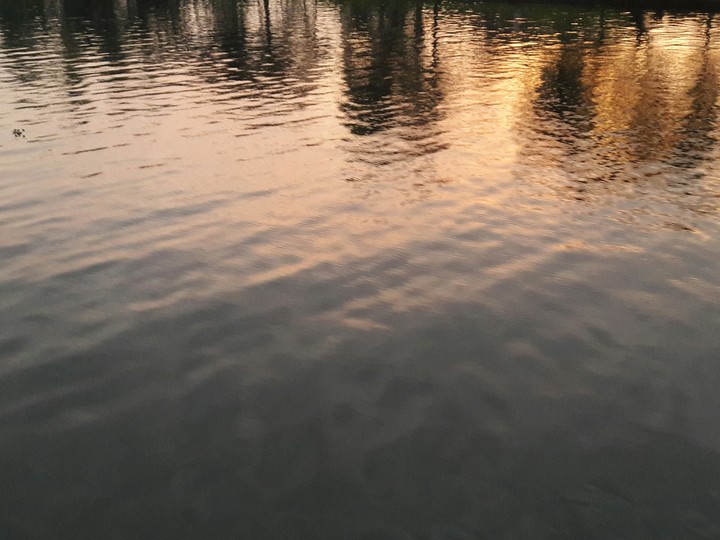 kerela backwaters