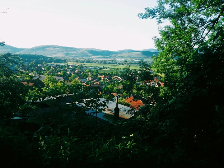 view