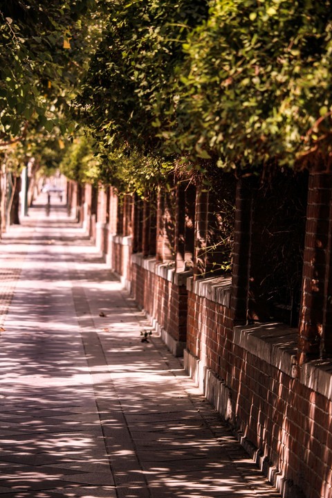 walkway