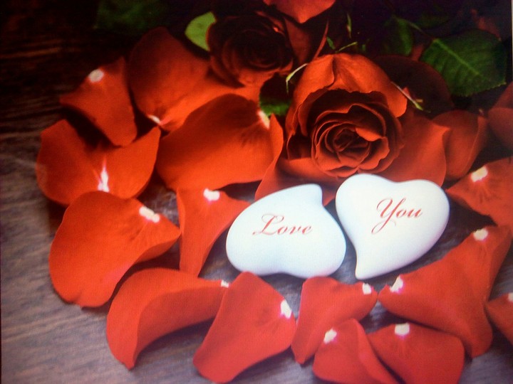 love