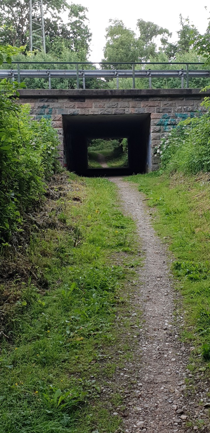 Waldweg