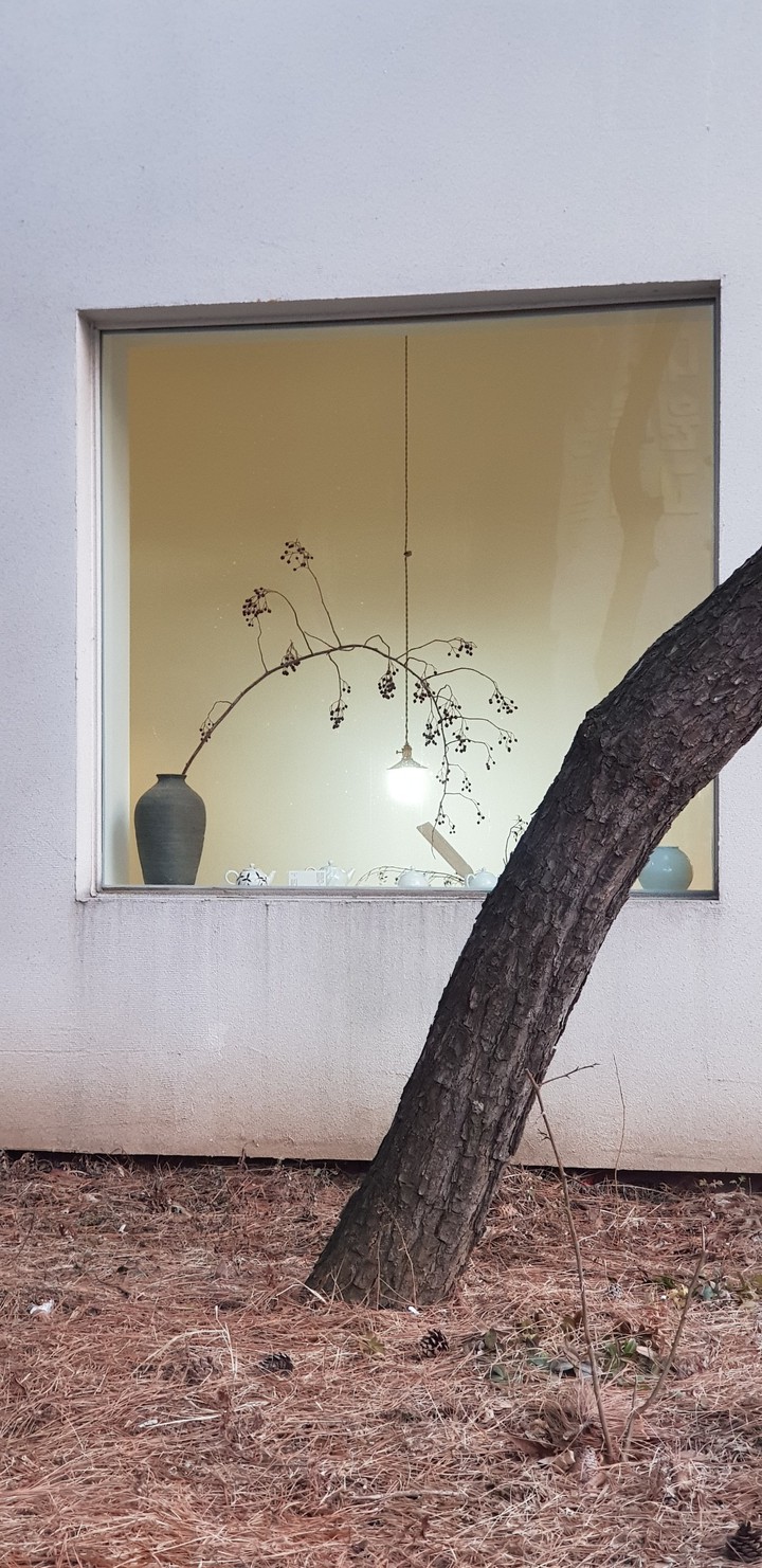 spring is coming