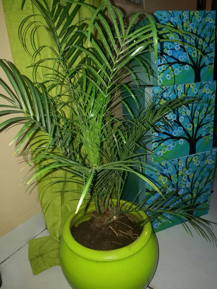 green