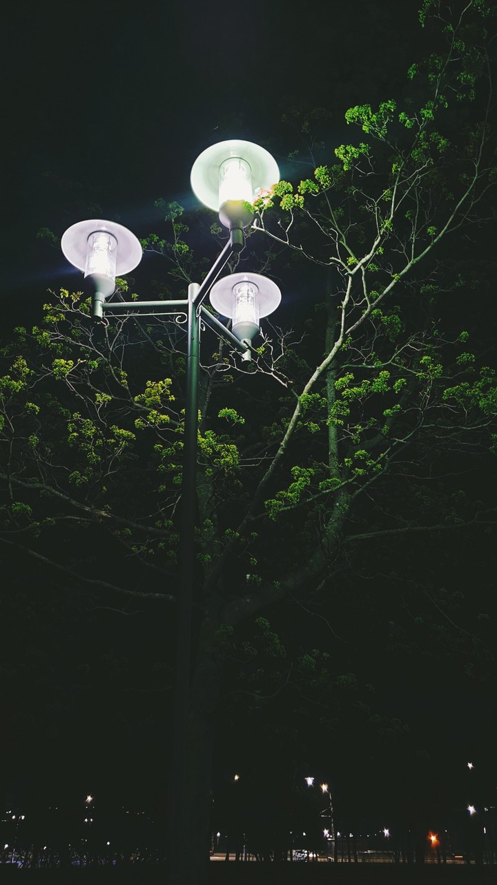 lamp