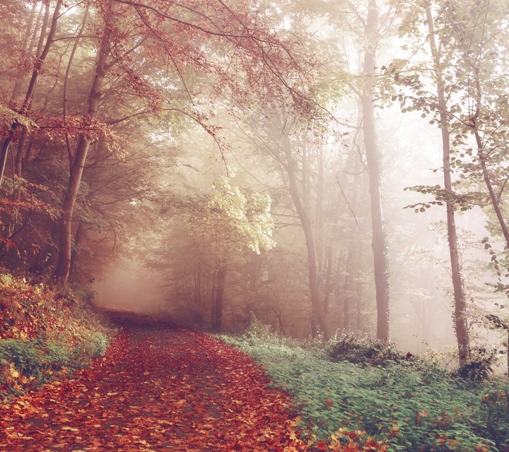 path