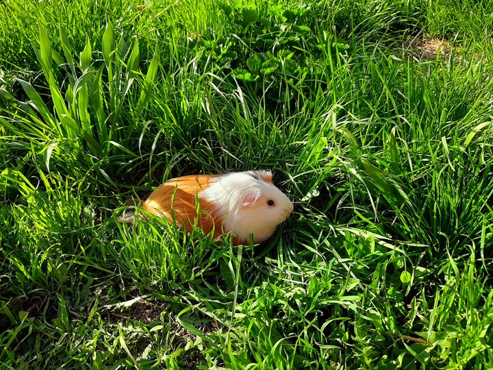 :)