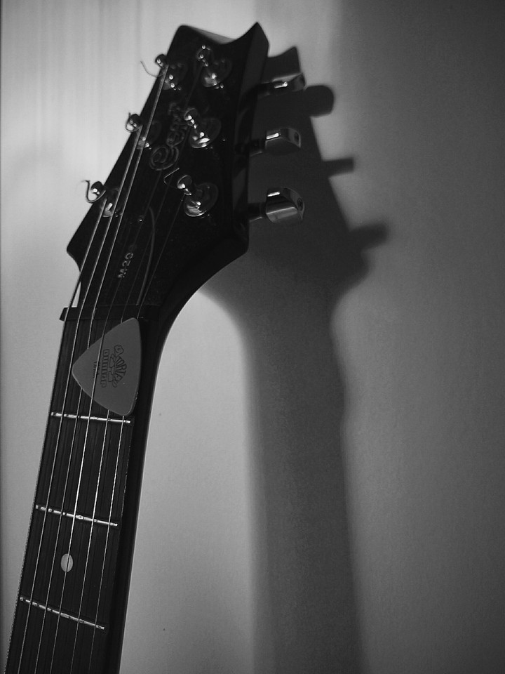 Guitar