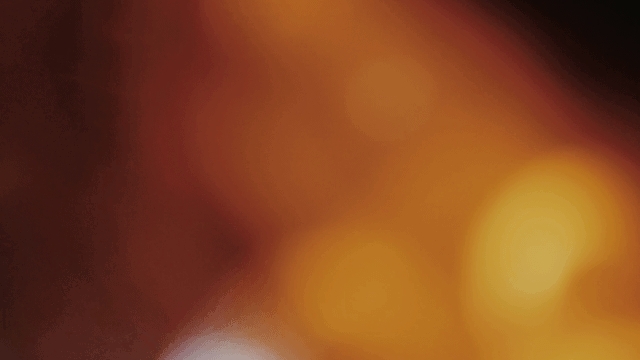 lights