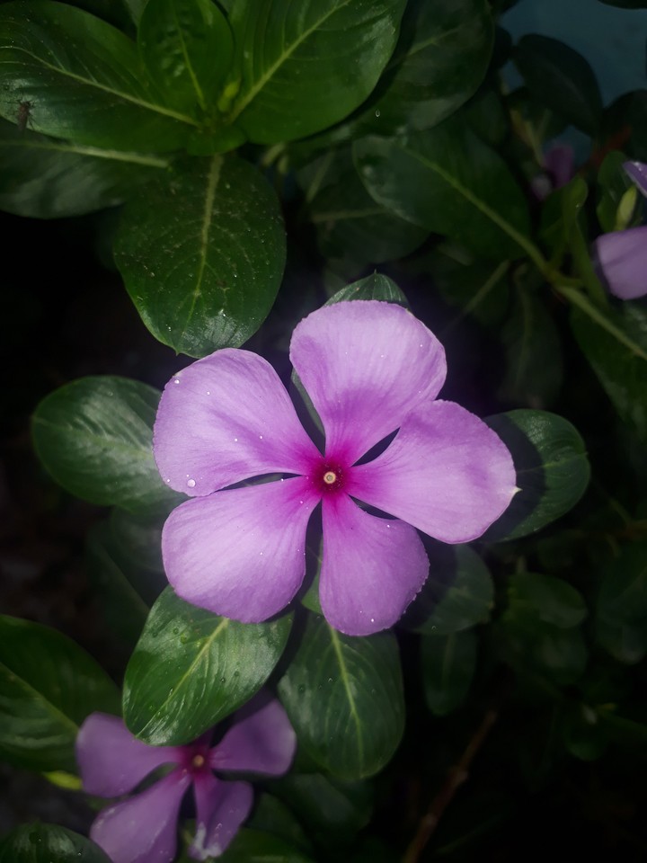 simply gorgeous