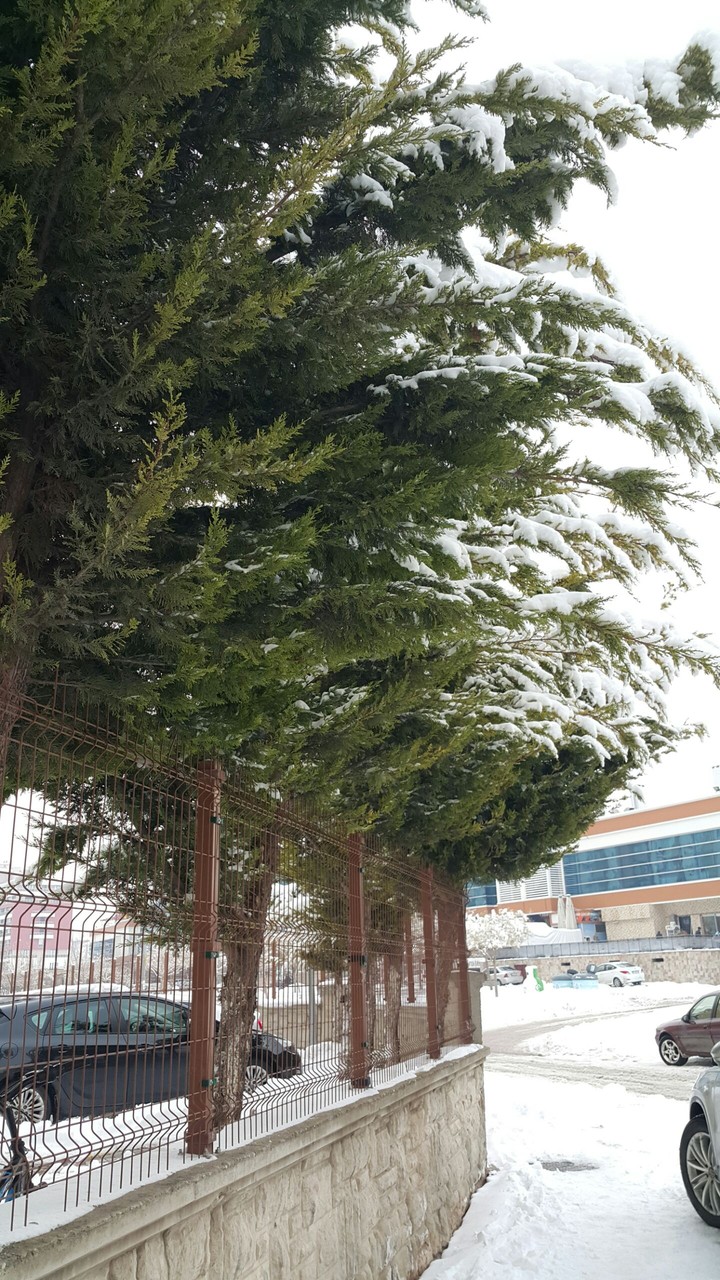 A snowy day from Turkey