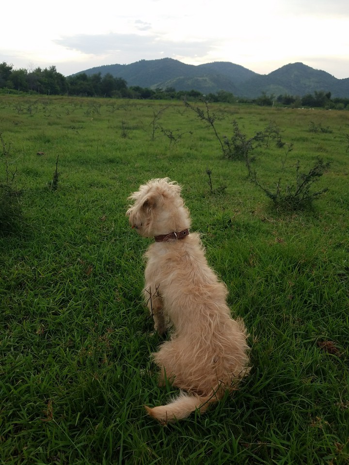 Pequeña.